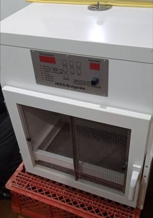 Maternidade inca lori 10