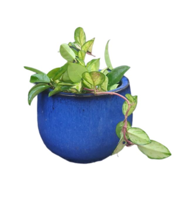 Vaso de cerâmica azul