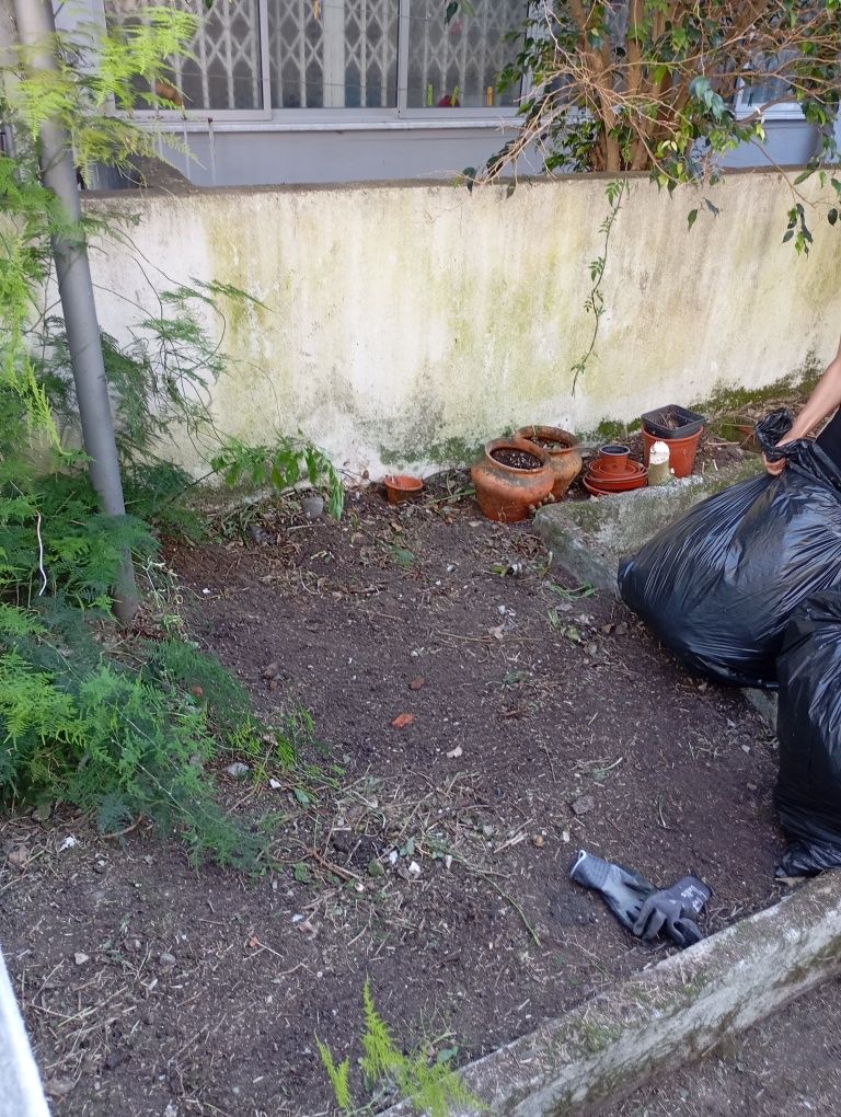 Faco manutenção de jardins, desmatação,podas e abates de árvores.obr