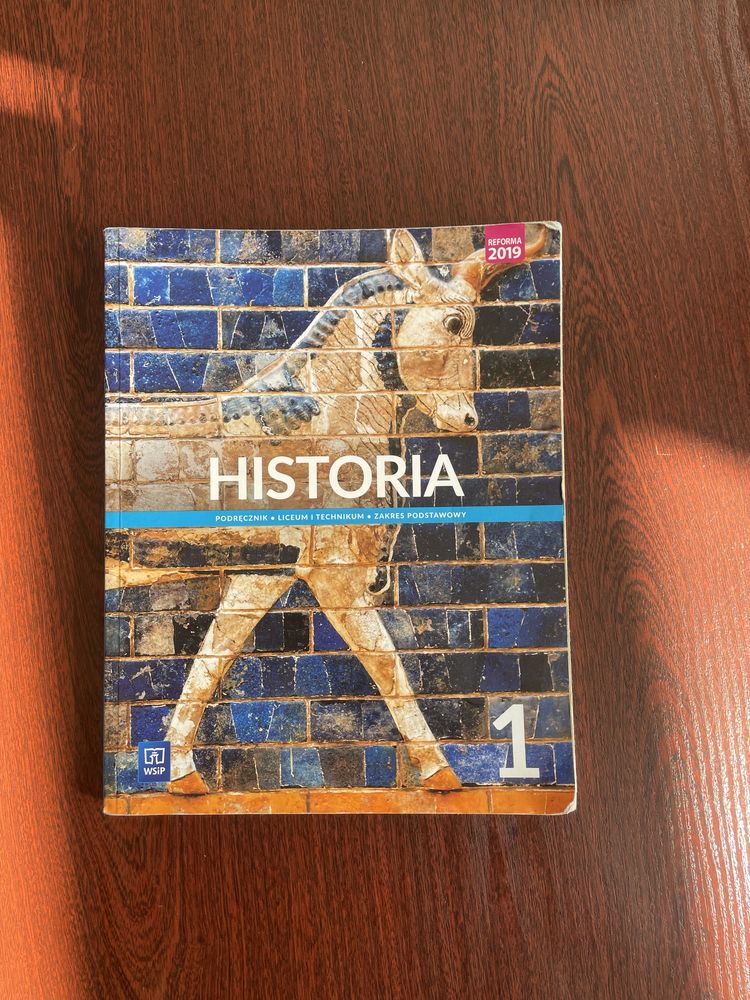 historia WSIP klasa 1