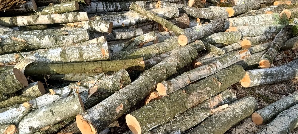 Drewno brzoza, brzozowe na opał, do kominka do pieca