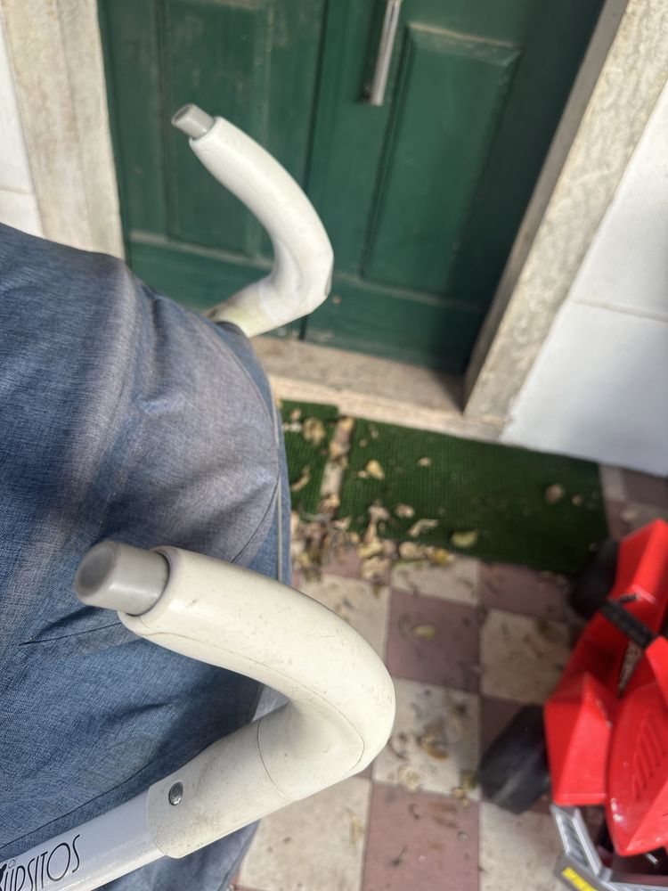 Carrinho de bebe com ovo