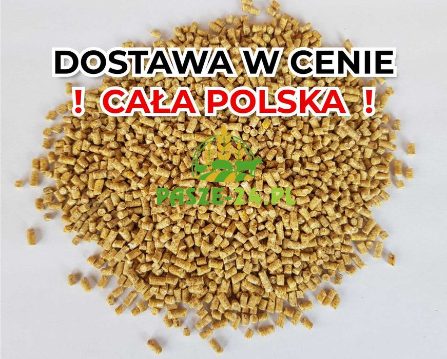 Pasza karma dla przepiórek niosek Przepiórka Nioska | Granulat 25kg !