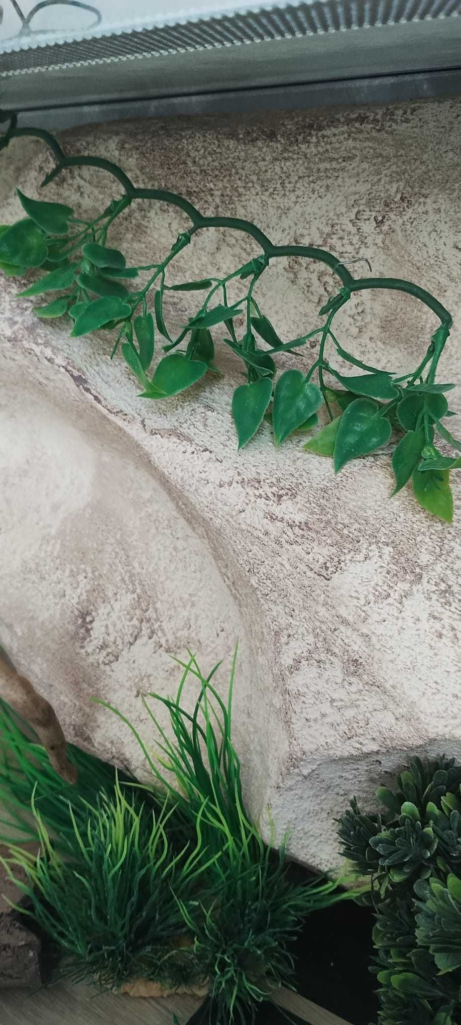 Terrarium dla gekona/węża
