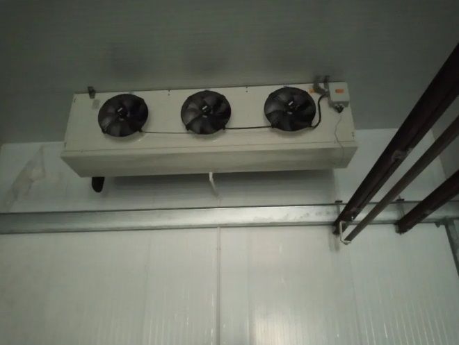 Заморозка та зберігання м'яса шокове охолодження матеріали для камер