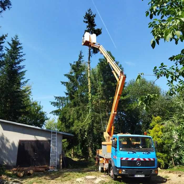 Wycinka drzew z podnośnika koszowego lub dostępu linowego Usługi rębak