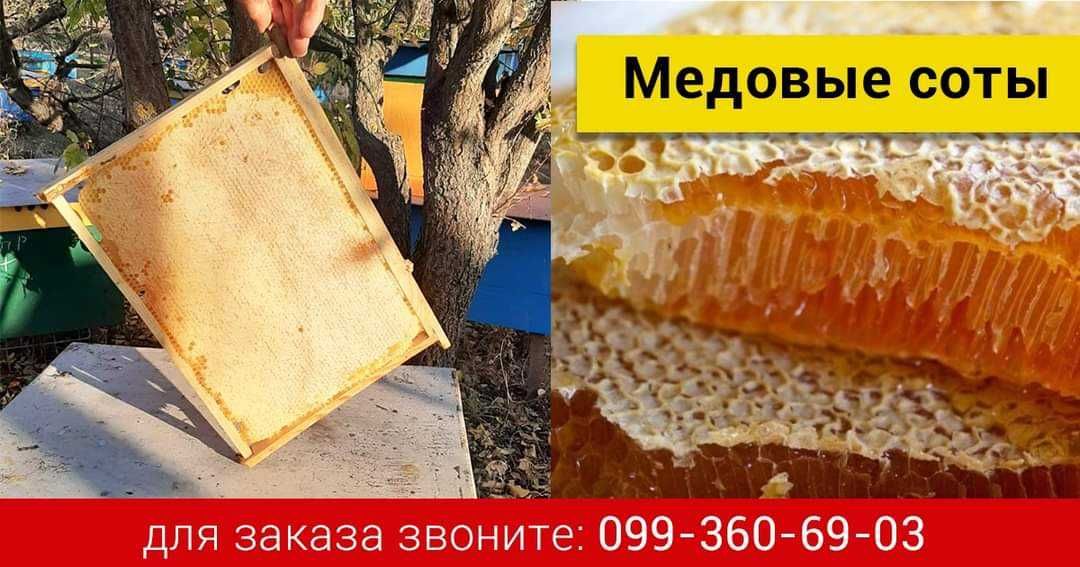 Продам мед разнотравье.