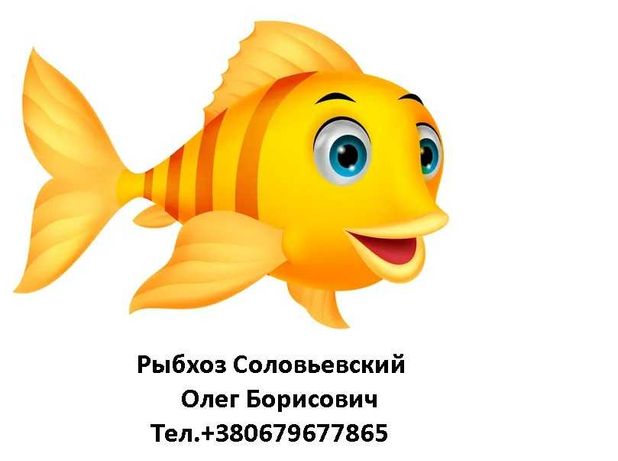 Соловьевский рыбопитомник предлагает...