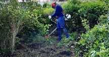 Limpeza\preparação de terrenos/jardins, corte de arvores e mudanças
