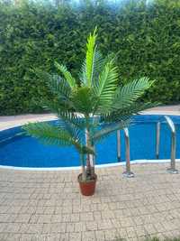 Sztuczna palma 120m