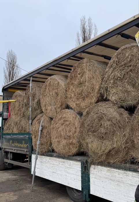 Siano / sloma dla koni + transport