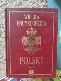 Wielka encyklopedia polski 10 tomów