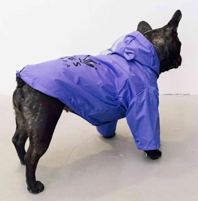 Дощовик,куртка,вітровка для собак
