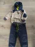 Dres coccodrillo 80