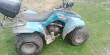 Quad Suzuki lt 160