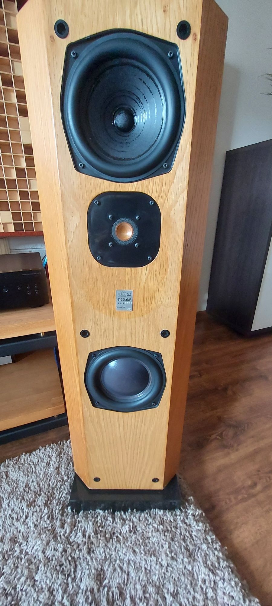 Kolumny Focal JMLab 610 Olymp