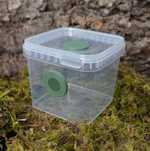 Pojemnik hodowlany terrarium wentylacja 3D pająk ptasznik skorpion