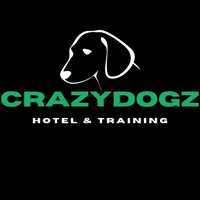 Hotel dla psa / Trening dla psa / Opieka nad psem