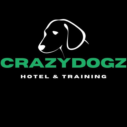 Hotel dla psa / Trening dla psa / Opieka nad psem