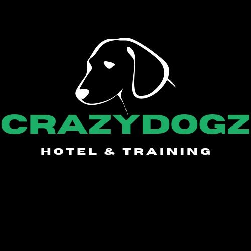 Hotel dla psa / Trening dla psa / Opieka nad psem / Całoroczna opieka