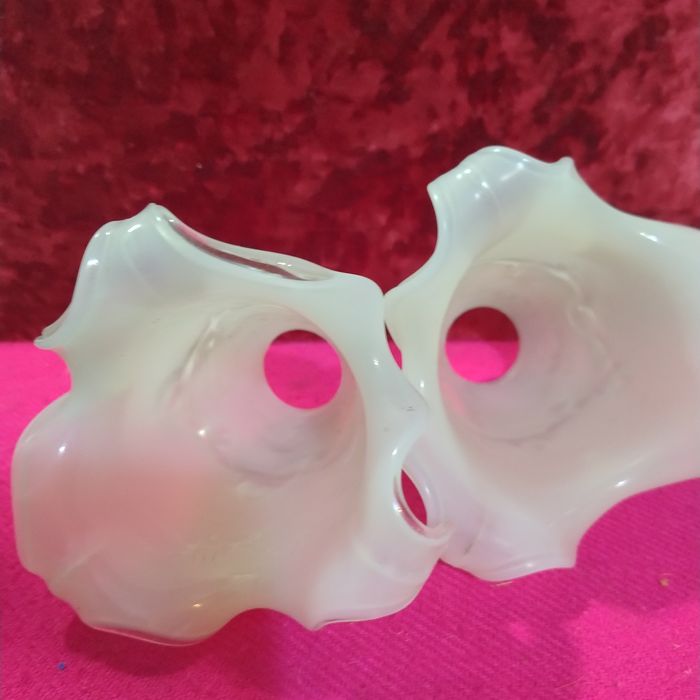 Два стеклянных плафона для люстры