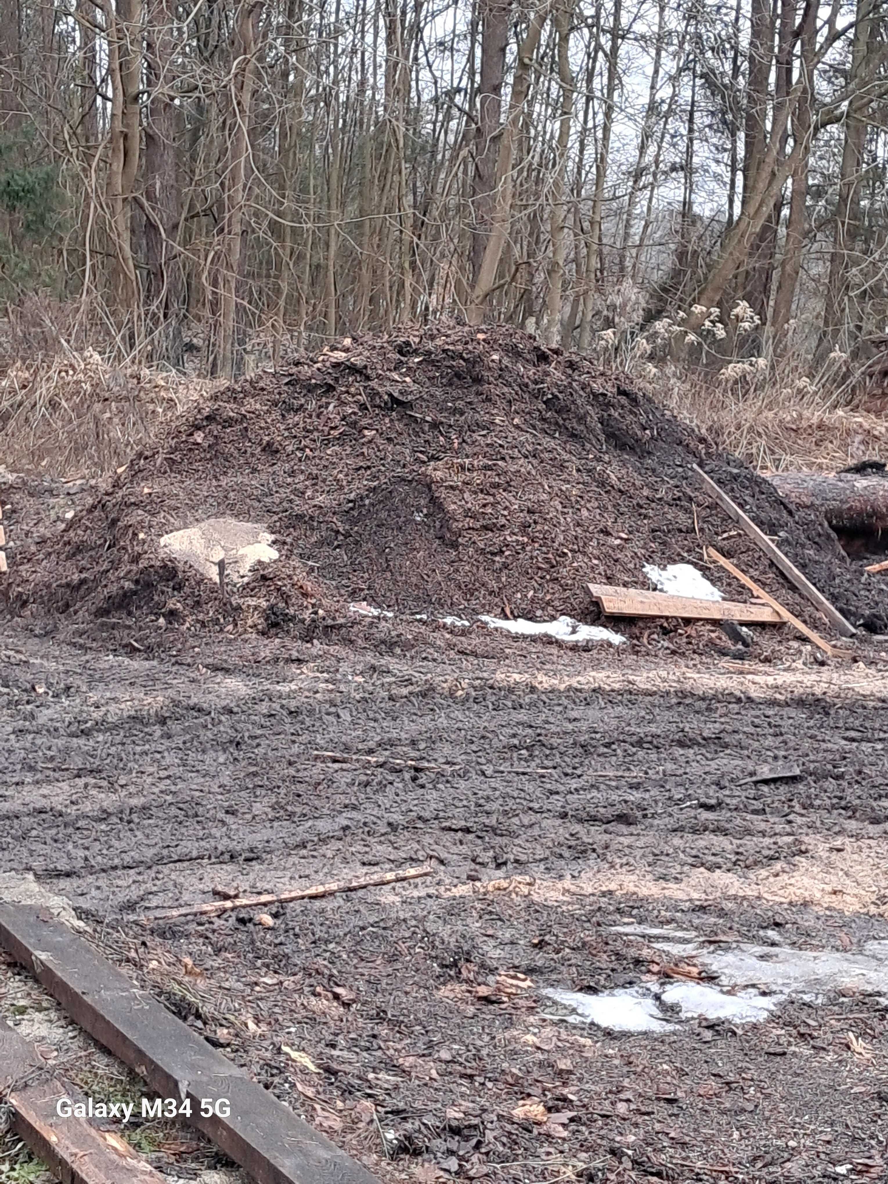 Ziemia z korą sosnową