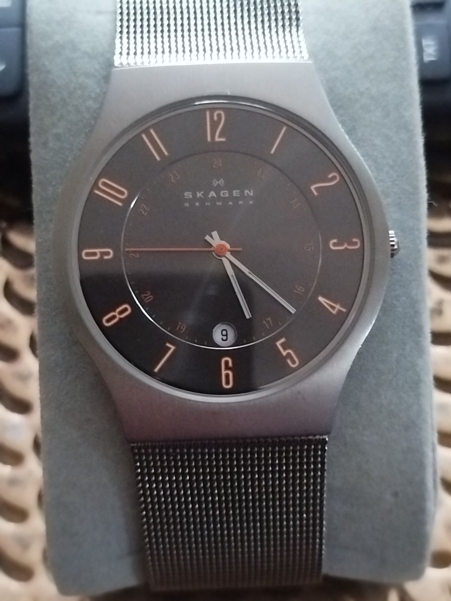 Skagen titanium case