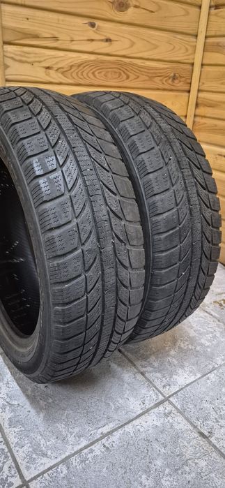 Продам пару,175 55 15 77T,зима, Champiro WinterPro GTRadial, Indonesia
