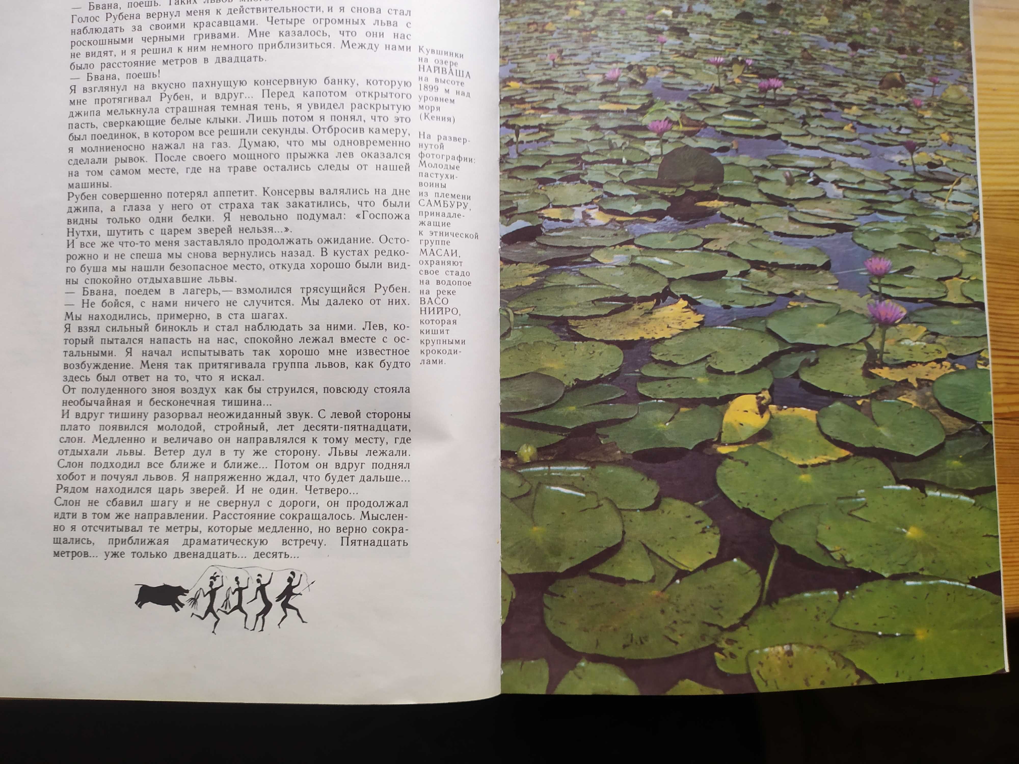 Книга Сафари под Килиманджаро