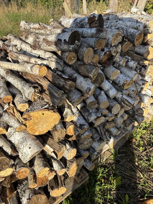 Drewno opalowe / kominkowe / brzoza / gotowe kawałki