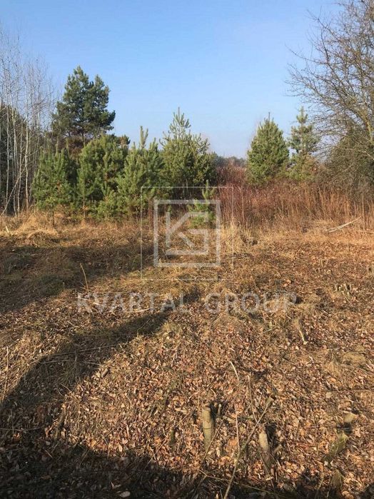 Земельна ділянка з виходом до озера.