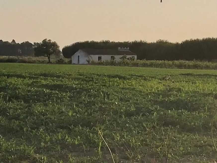 Terreno com vinha e casa de apoio