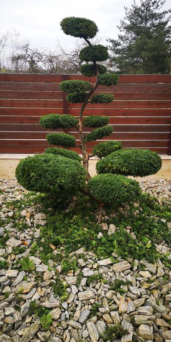 Pielęgnacja ogrodów/zakładanie ogrodów/nawodnienie/ogrodzenie panelowe