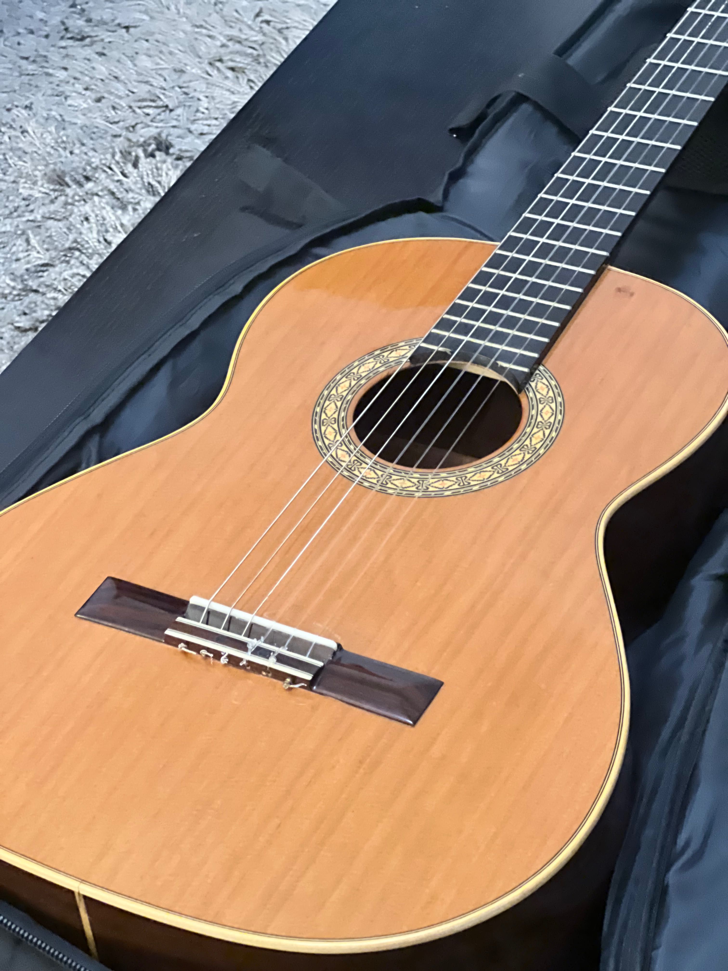 Guitarra Clássica Esteve 1
