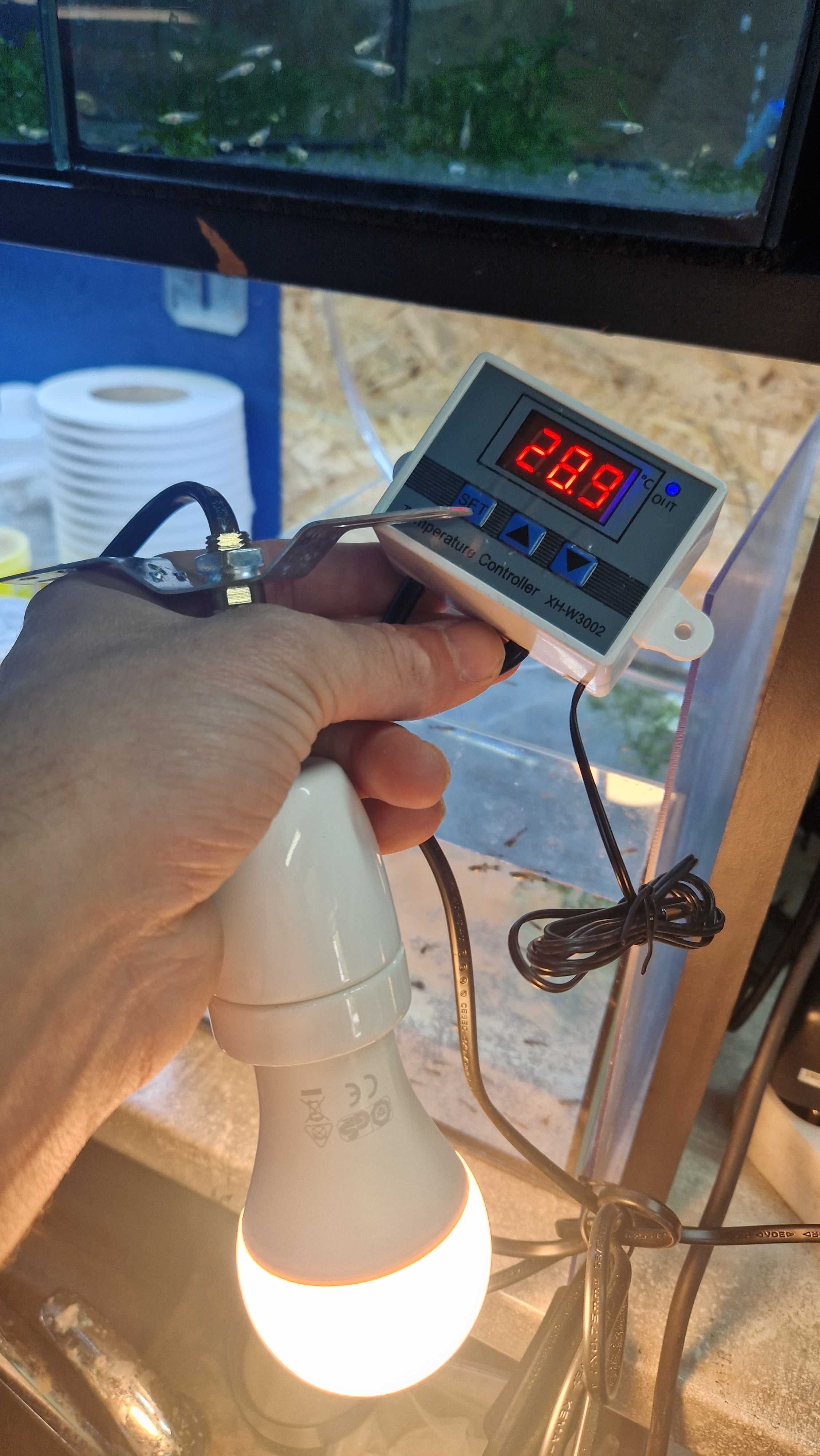 Kontroler temperatury terrarium do lampy grzewczej