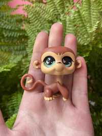 LPS Littlest pet shop małpka #655