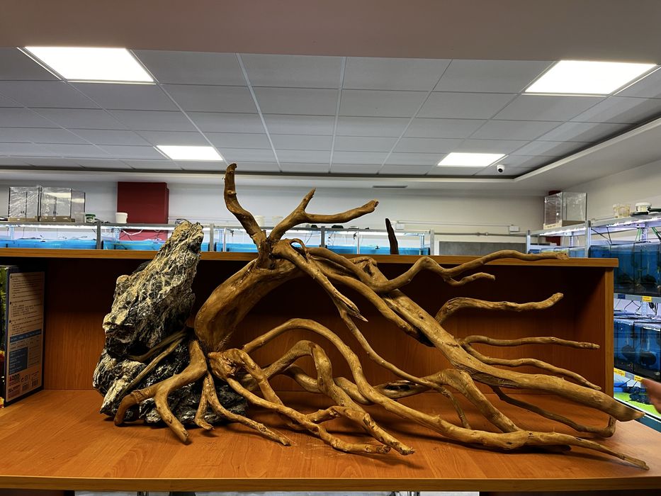 Aranżacja dekoracja korzenie Red Moor kaminie