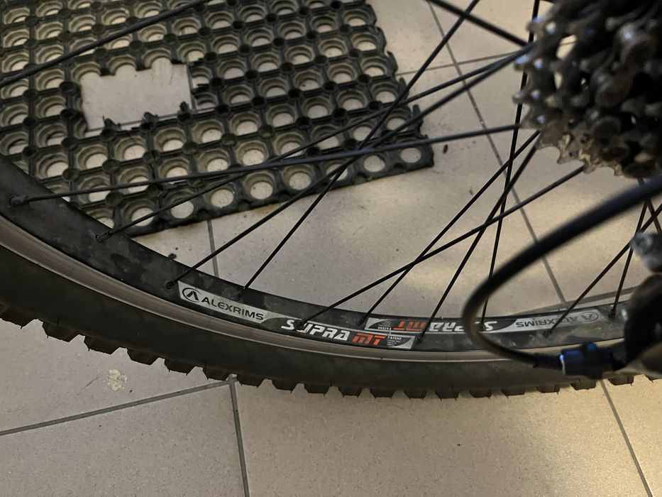 Rower Leader Fox Dragstar 26”