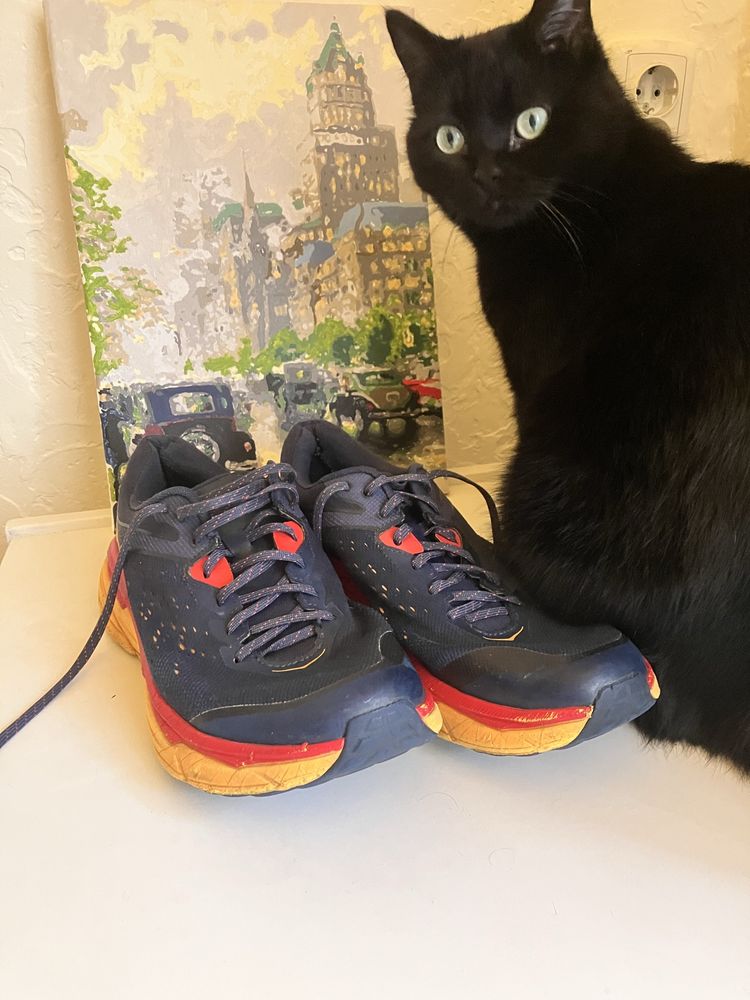 Hoka challenger atr 5 кросівки чоловічи