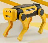 Pies solarny, robot, samodzielny montaż.