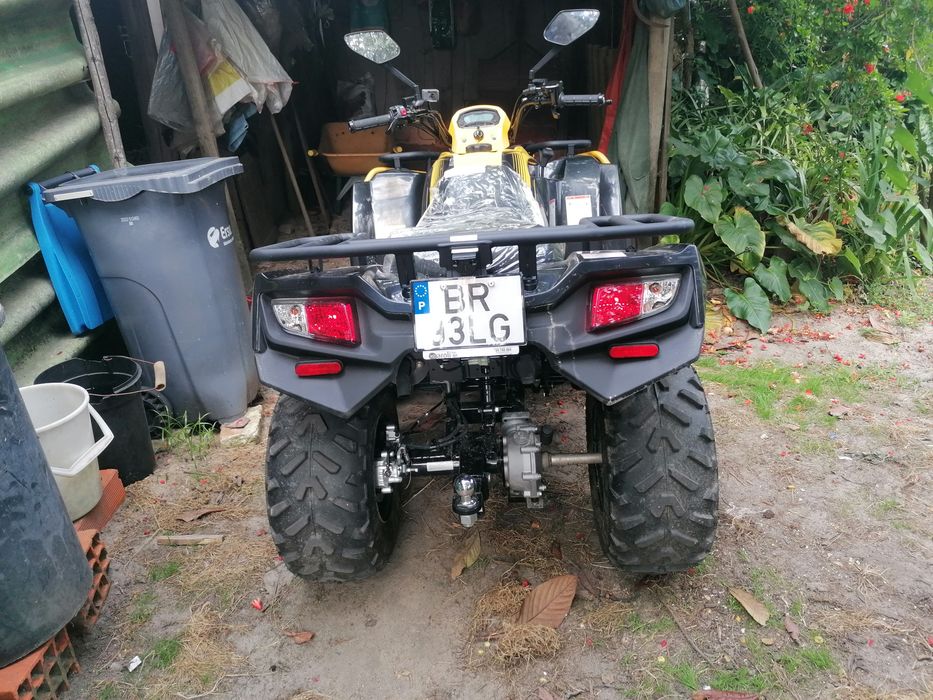 Moto 4 - 300 cc (03/2025)