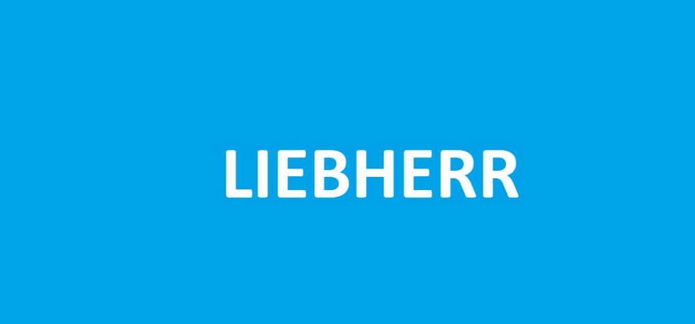 Liebherr A900 A902 A912 A922 A942 instrukcja napraw