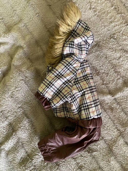 Комбінезон для собаки