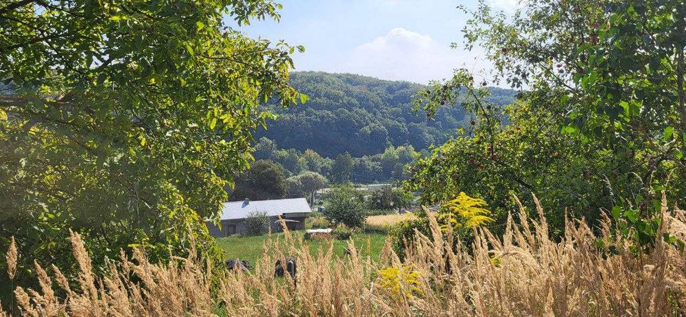 Продаж двох суміжних ділянок в Брюховичах, ліс, чудовий краєвид !