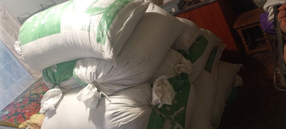 Прод.овес,пшеницю та ячмінь.