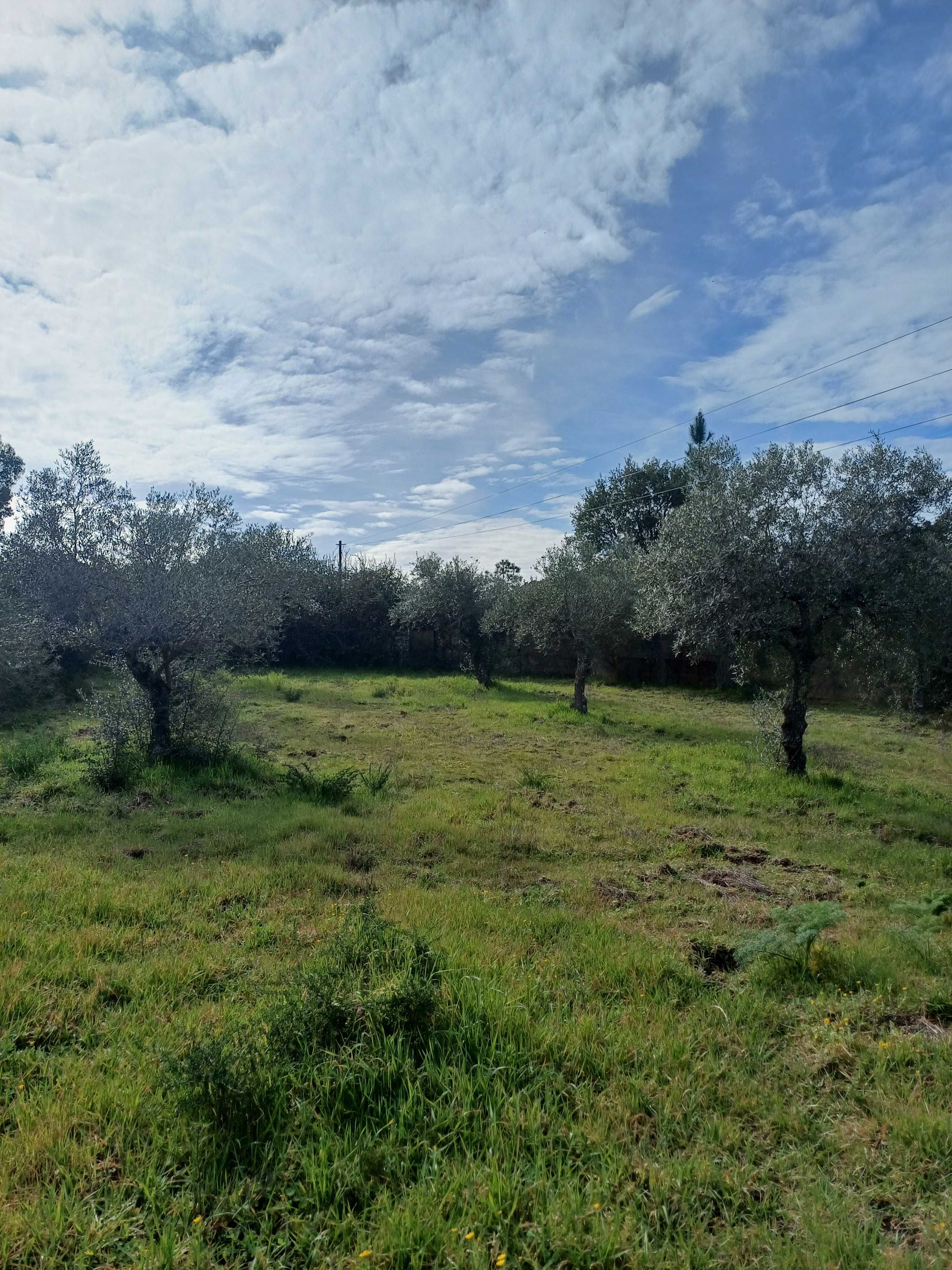 Terreno com palheiro e poço!