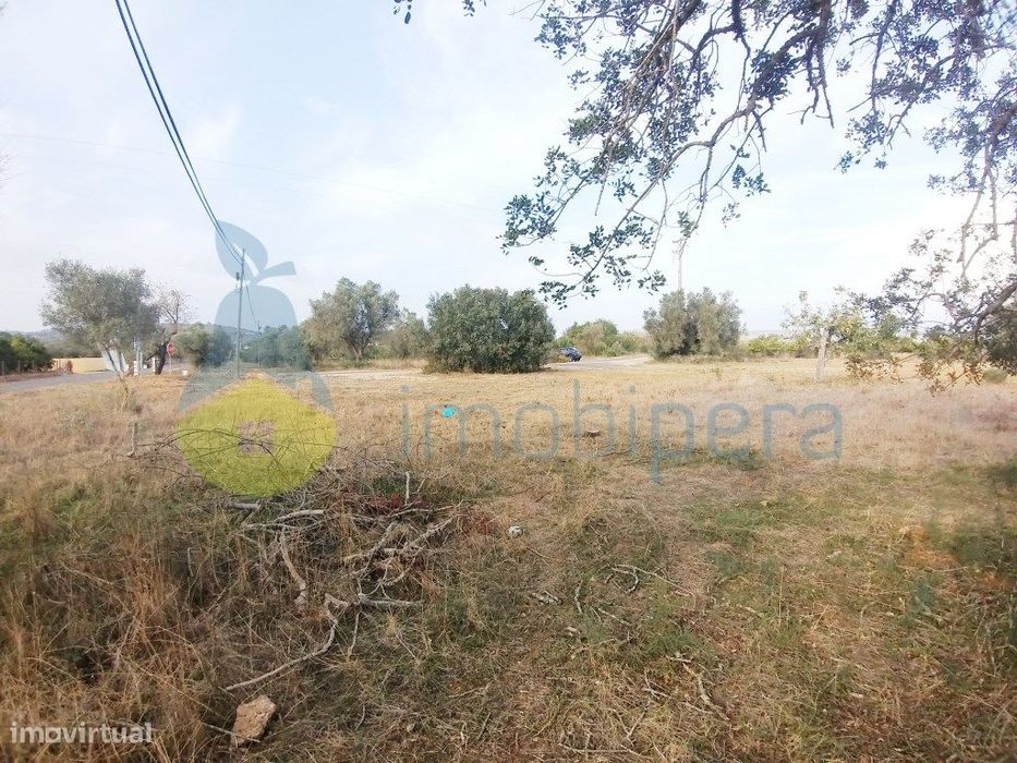 Terreno fértil em zona rural, para agricultura, projecto florestal,...