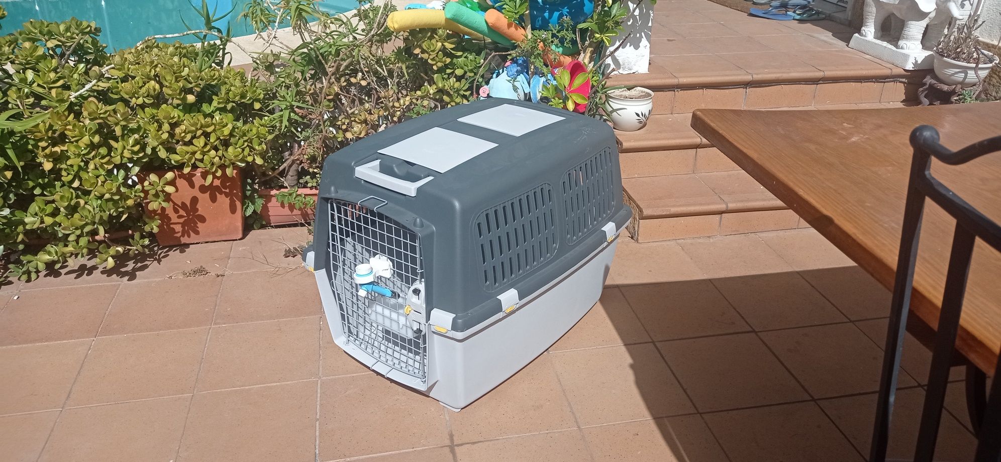Transportadora de cachorro varias
