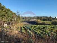 Terreno  para venda