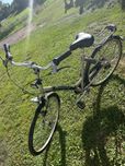 Rower damski Gazelle 28